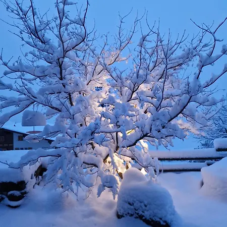 Chalet Gotthelf Gartenstudio, Ferien mit Hund Adelboden Exterior foto