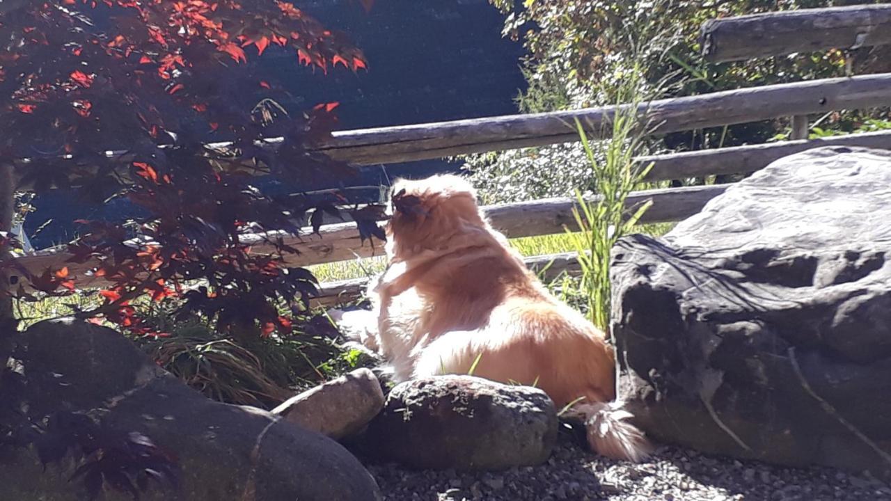 Gotthelf Gartenstudio, Ferien Mit Hund * Adelboden