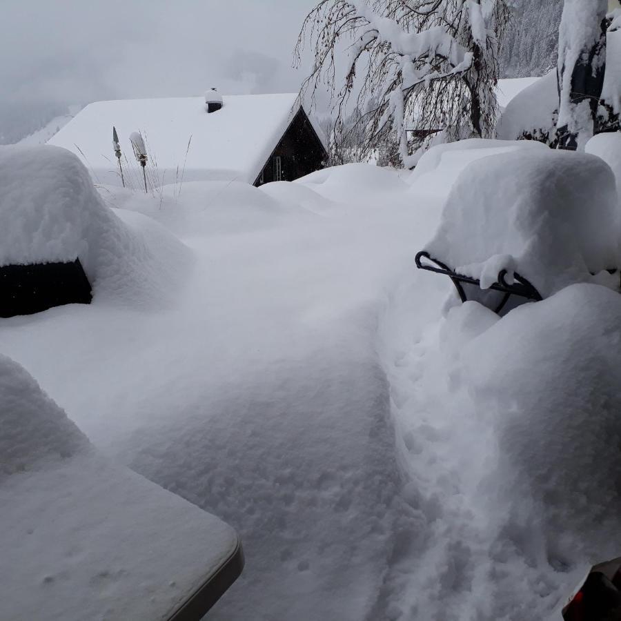 Gotthelf Gartenstudio, Ferien Mit Hund Appartement Adelboden