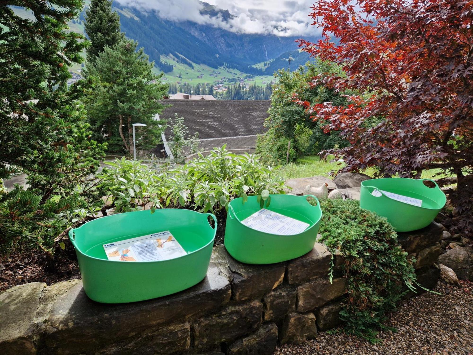 Gotthelf Gartenstudio, Ferien Mit Hund * Adelboden